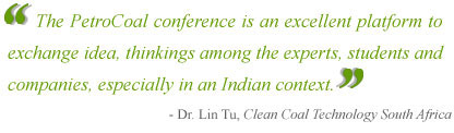 Dr. Lin Tu, Clean Coal Technology South Africa